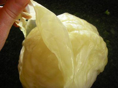 Peel back the leaves