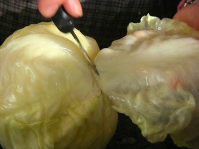 Cut cabbage leaf from the base with a small knife